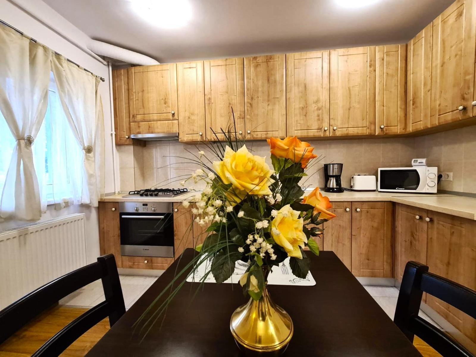 Apartament Giulio Sibiu Ngoại thất bức ảnh